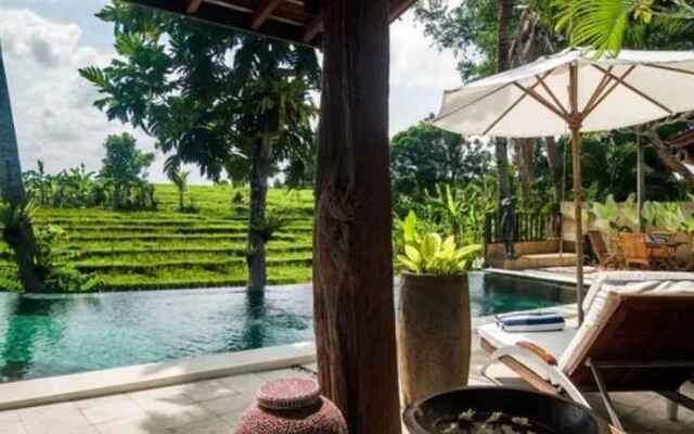 Rice Field Terrace Tirta Villa Canggu