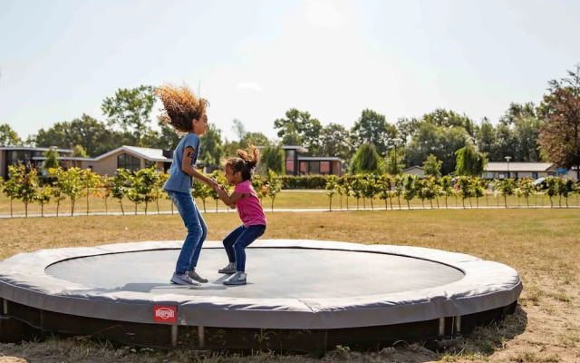 Comfortable Chalet in the Achterhoek