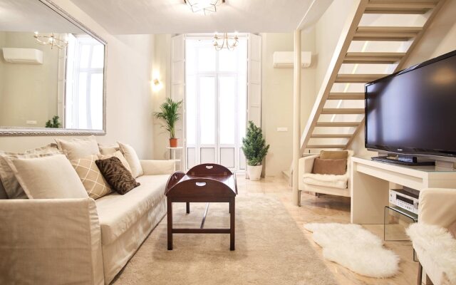 Duplex Palacio Siglo XIX