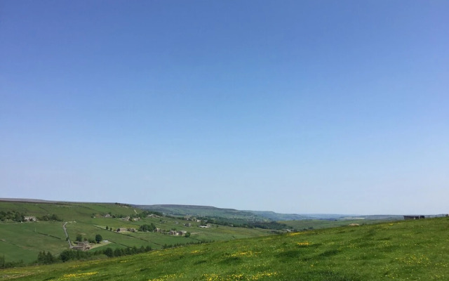The Long View