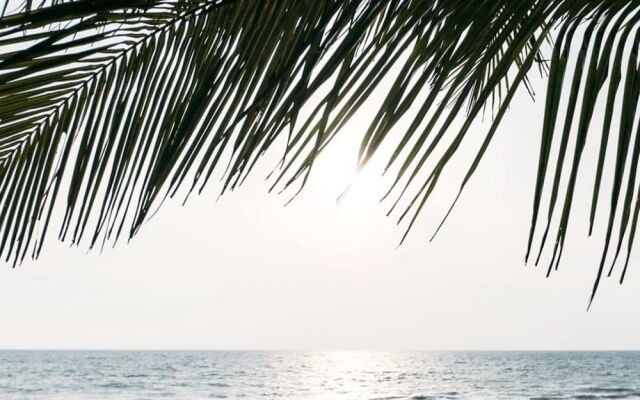 Fio's House by the Sea
