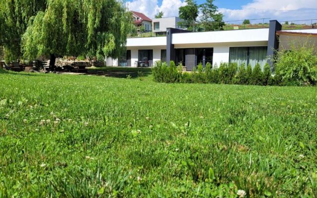 La Salcia din Pădure