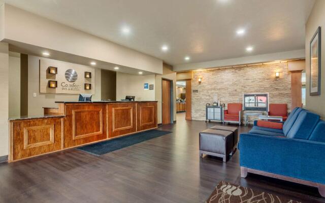 Comfort Inn & Suites Mitchell I-90