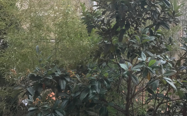 Votre Adresse de Charme Hypercentre Marseille