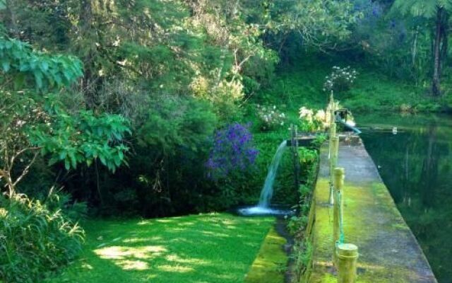 Pousada Um Lugar de Mato Verde