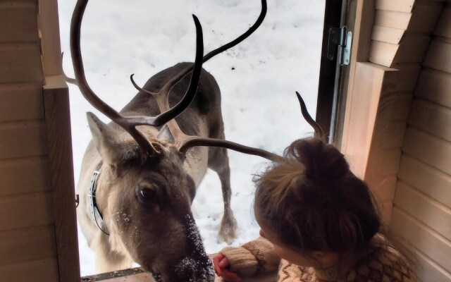 Igluhut sleeping with reindeer