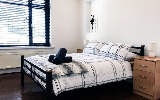 Deluxe Contemporary House - DHH