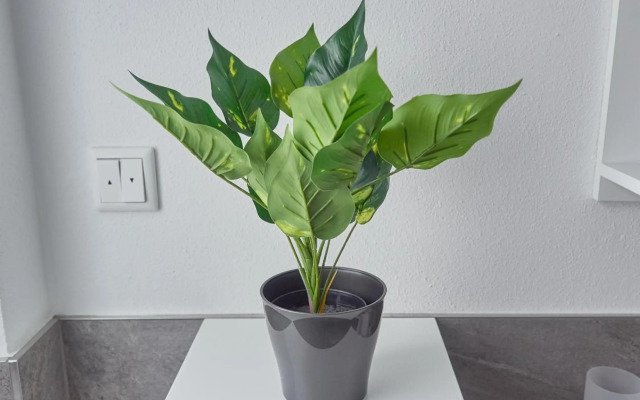 Ferienwohnung zur lustigen Gabi