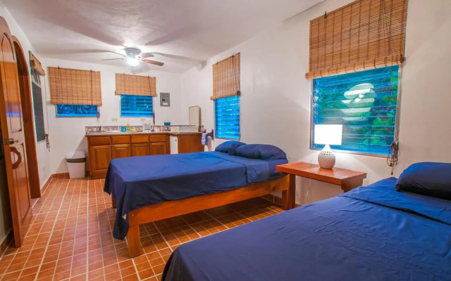 Hotel Chillies and Native Sons Diving