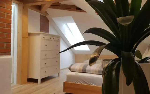 Dresdner-Tag Hermann