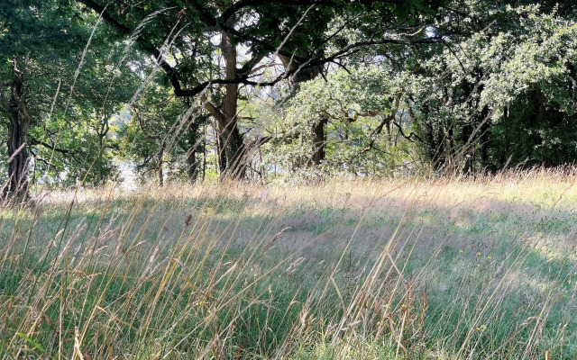 Domaine de La Briandais, a place of electromagnetic sobriety