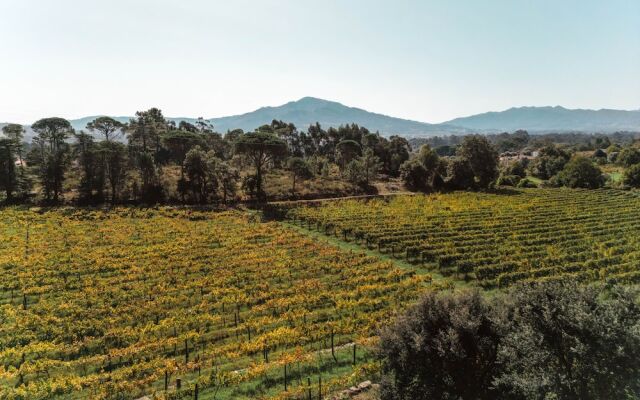 Quinta do Convento Val Pereiras
