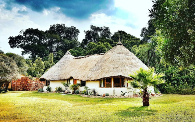 House In The Wild