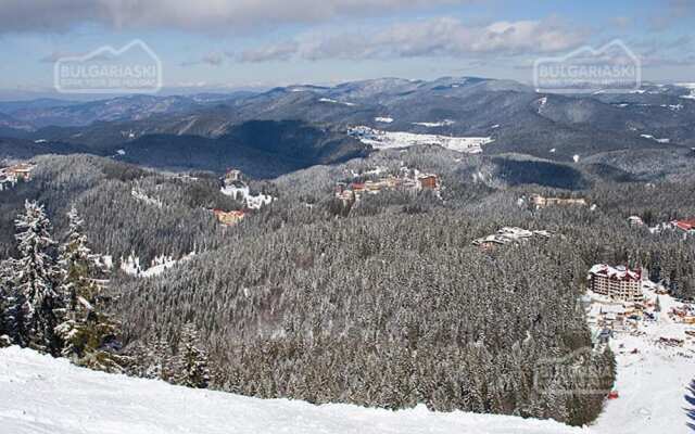 Stunning Mtn View 1-bed Ski Apt in Pamporovo