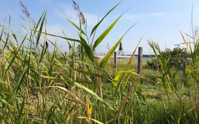 Noord Huus Ferienapartment