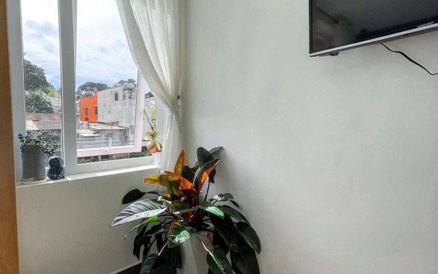 Selena Dalat Homestay