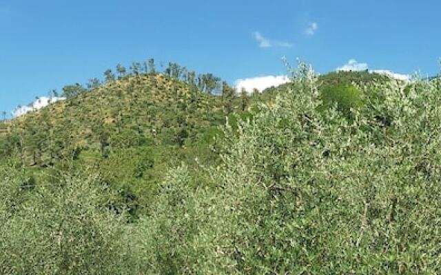 Agriturismo Casa degli Ulivi