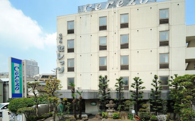 Hotel Cerezo