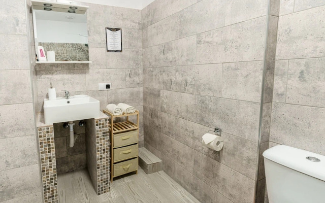Select City Center Apartments Braşov
