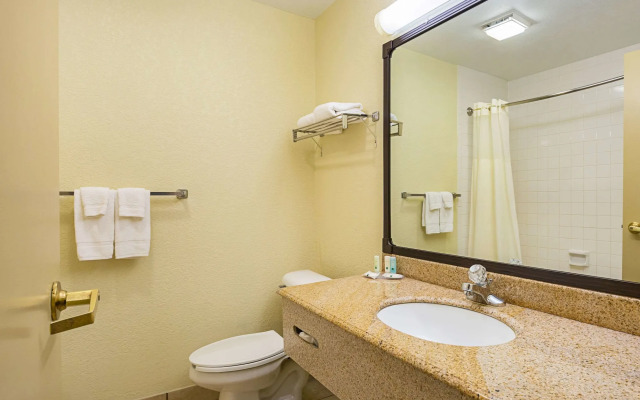 Quality Inn & Suites NRG Park - Medical Center