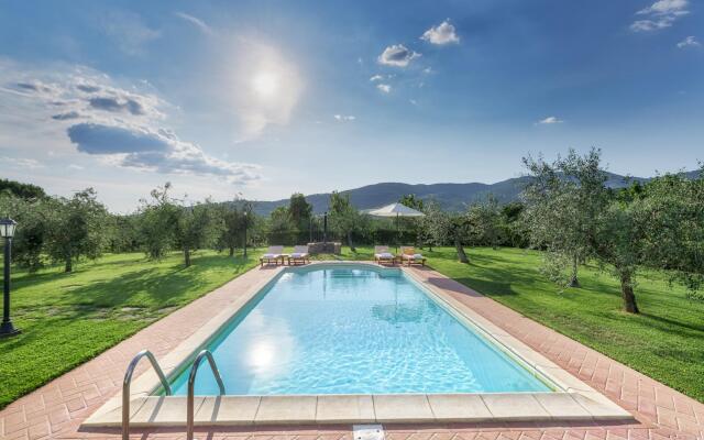 Vinciluna 4 in Scanizza