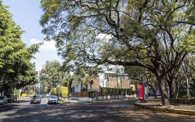 Casa Polanco by Kukun