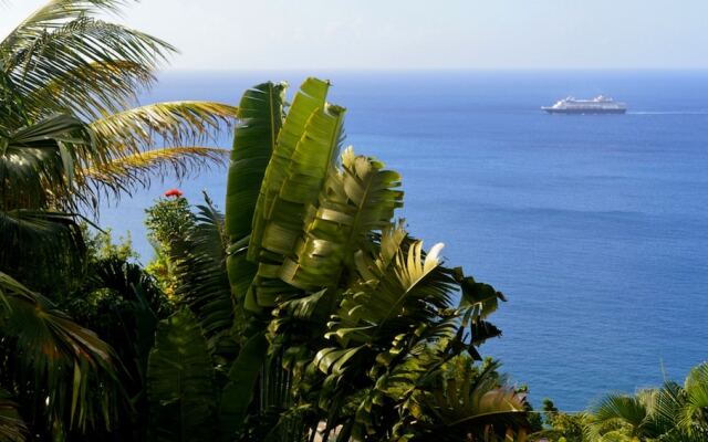 Nature's Paradise @ Marigot Bay