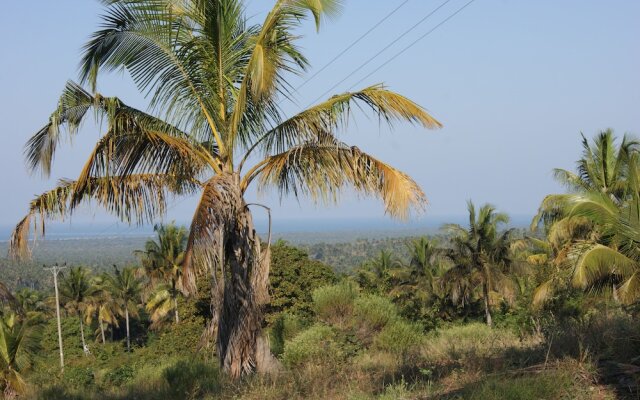 Pura Vida Lodge