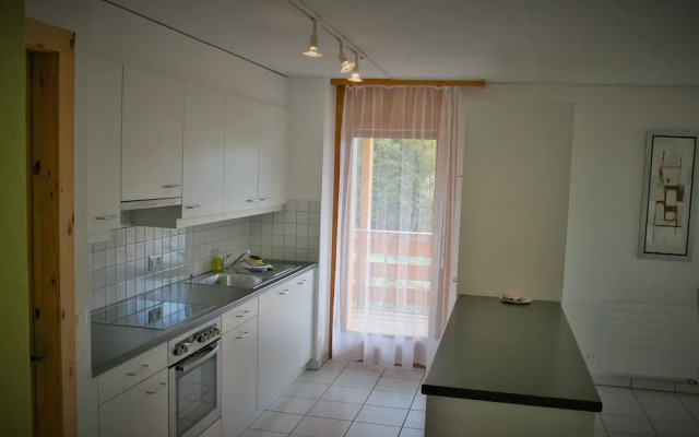 Castel Club Leysin Parc Resort