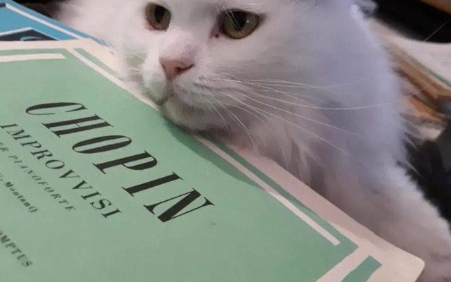 terrazze di montelusa