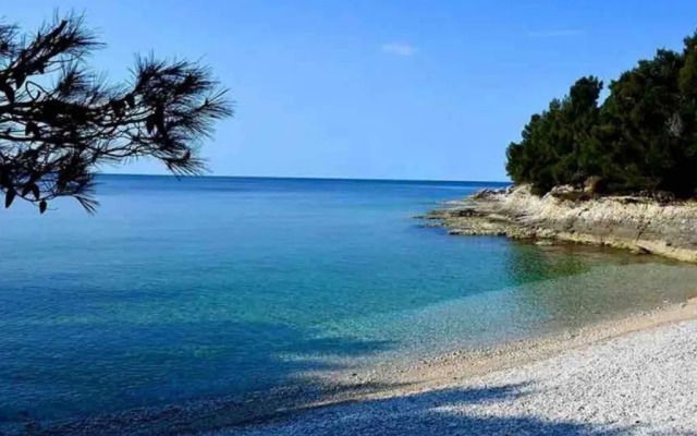 Apartment Damir 50 meters from the beach