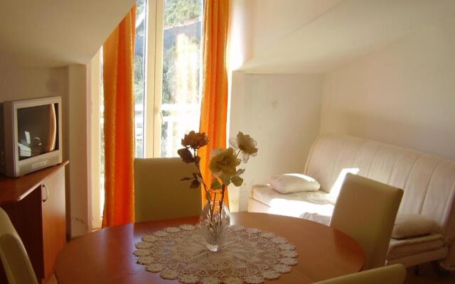 Apartments Vlasic