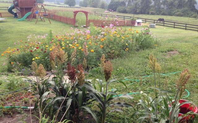 The Dragonfly Bed and Breakfast