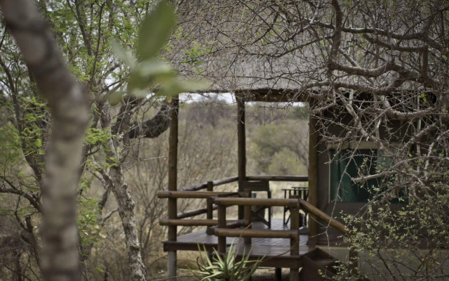 Sausage Tree Safari Camp