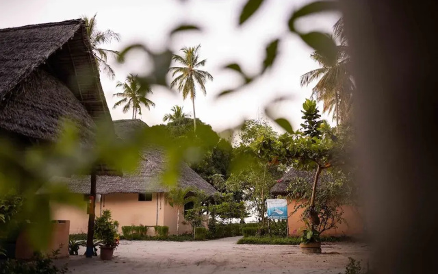 Afro Beach Safari