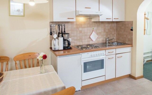 Serene Apartment in Todtnauberg with terrace