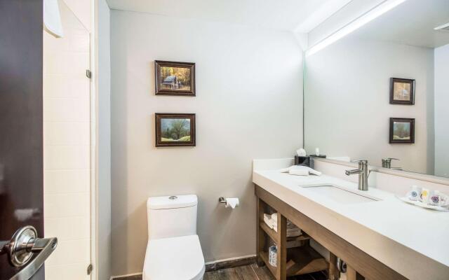 Comfort Suites Columbia I-65