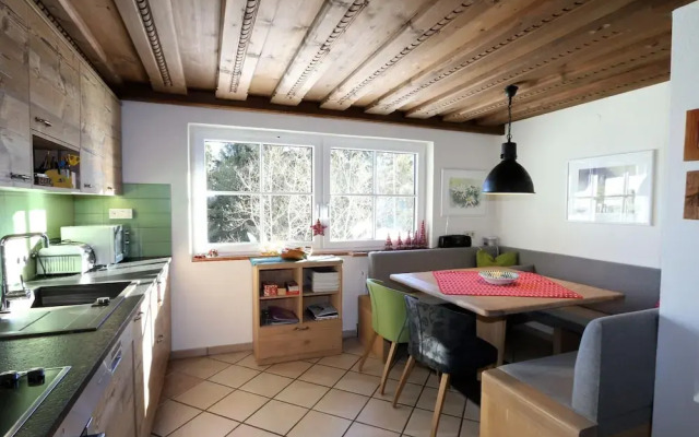 Dog-friendly Holiday Home in Flachau