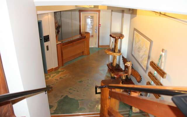 Safe Harbour Suite