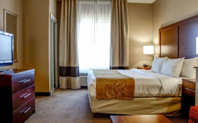 Comfort Suites Gadsden Attalla