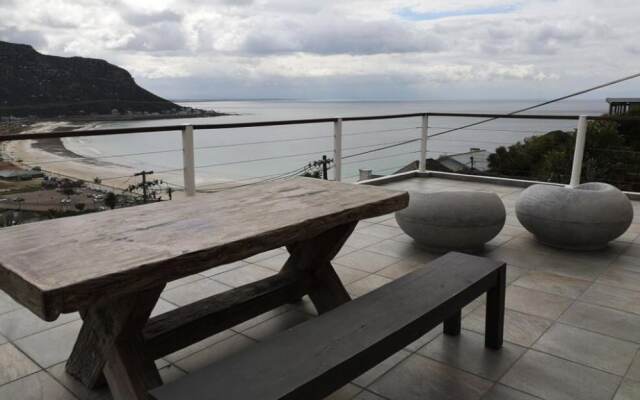 Watching Waves Heron Chase