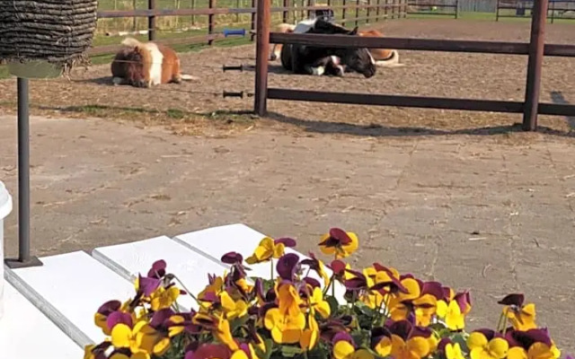 Bed & breakfast Achter ons huis