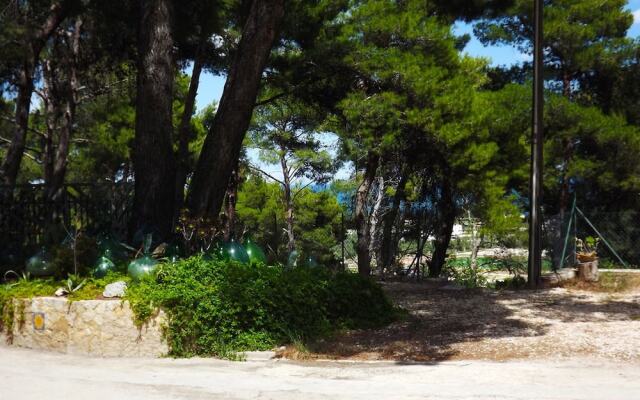 Residenza Collina dei Pini