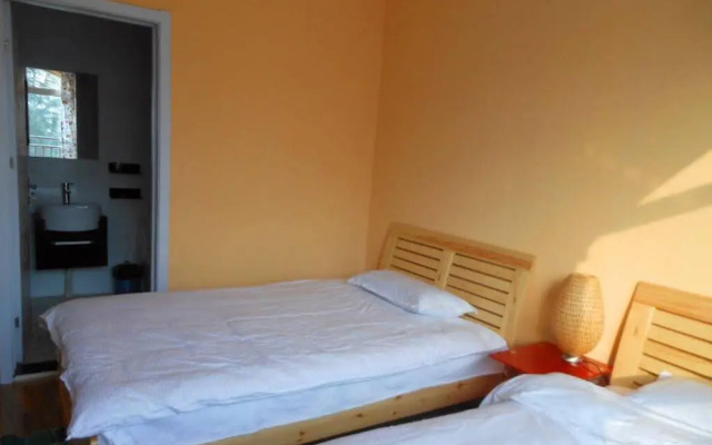 Sunflower Youth Hostel
