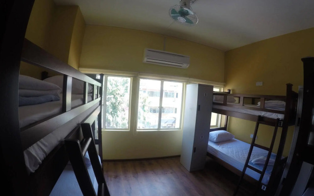 Fat Rhino Hostel
