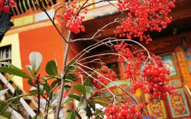 Jiuzhaigou happy sunshine home stay