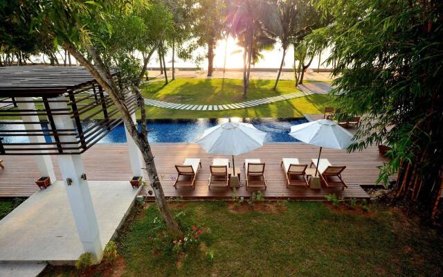 The Mangrove By Blu Monkey