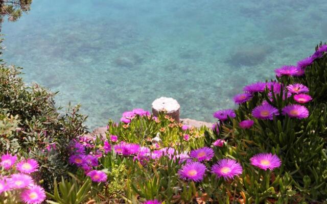 Sea View - 7 m from beach - A1(5+2)