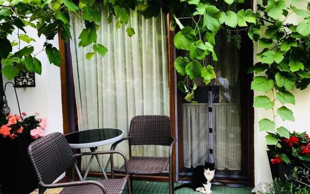 Willa Christo Dom z Dusza