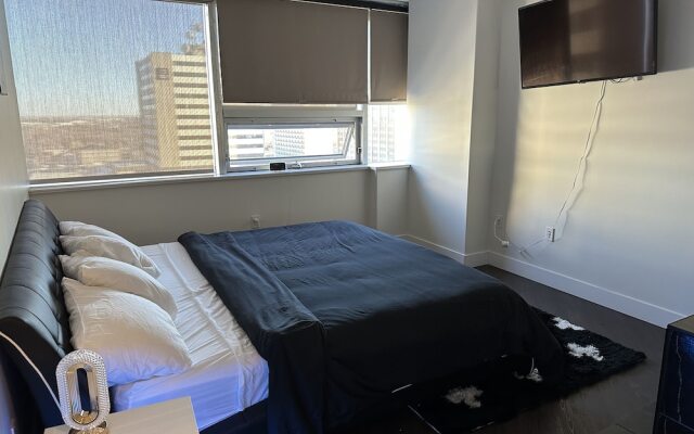 Luxury Downtown Condo Two Bedroom